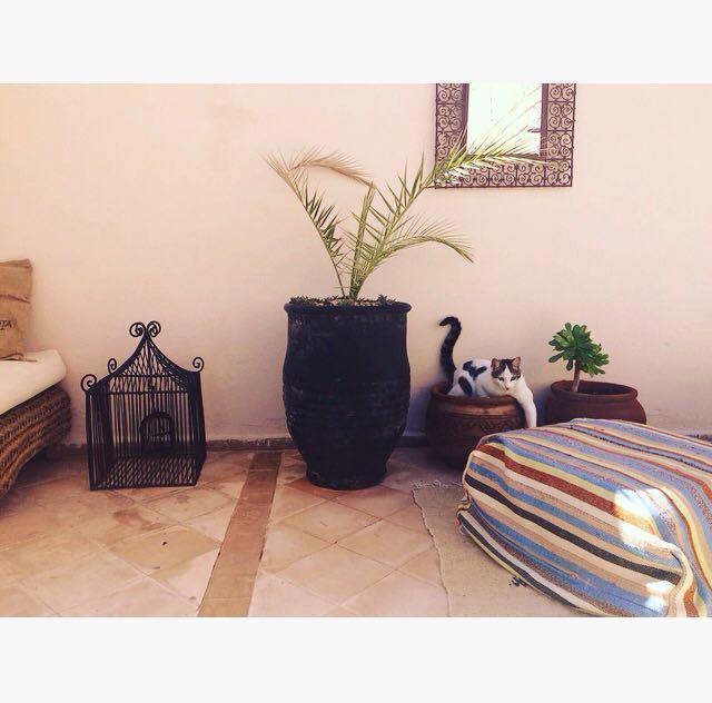 Riad Nejma Lounge Marrakesh Exterior photo