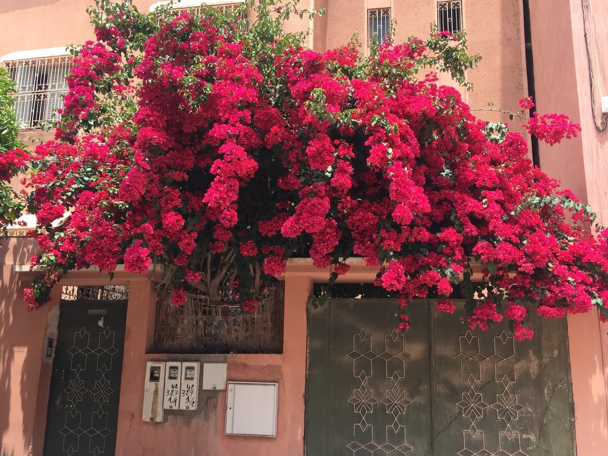Riad Nejma Lounge Marrakesh Exterior photo